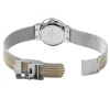 Skagen Replacement Watch Strap Two-Tone Mesh For 355SSGS With Screws -Fashion Watch Shop 355ssgs 56262.1501248686